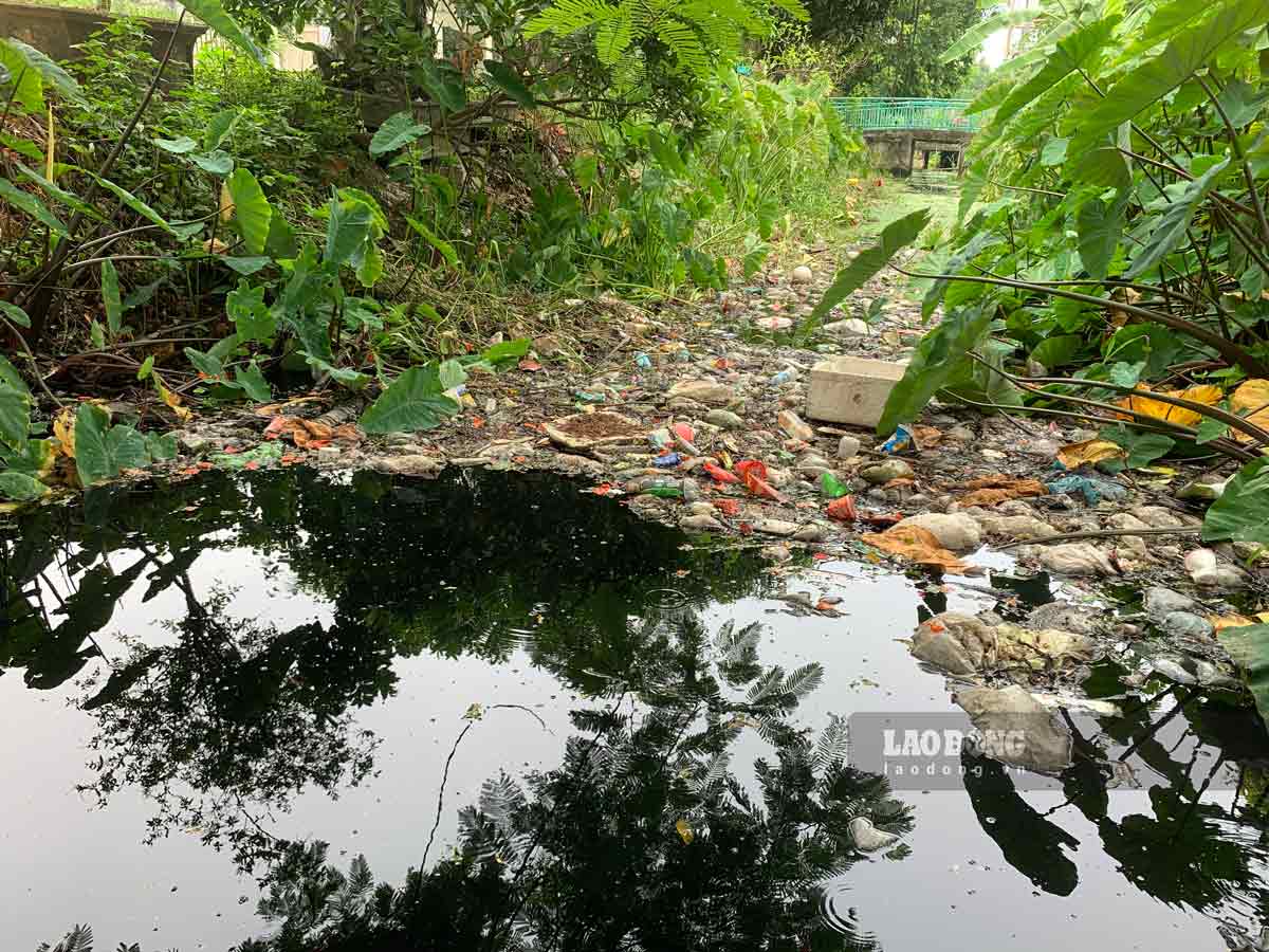 Kênh thôn An Lá (xã Nghĩa An, huyện Nam Trực, tỉnh Nam Định) Báo Lao Động ghi nhận ô nhiễm trước đó. Ảnh: Hà Vi