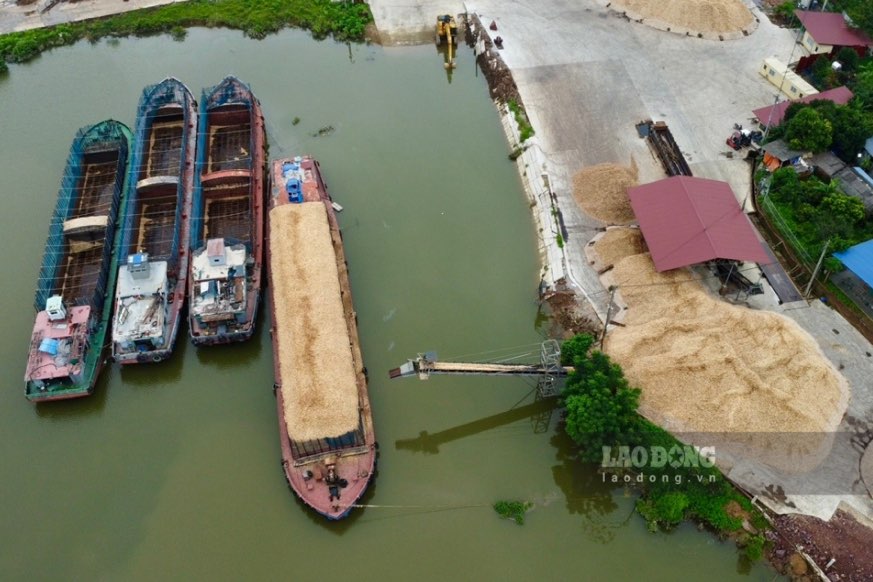 Xưởng gỗ trái phép trên phần diện tích đất của người dân vẫn chưa được di dời.