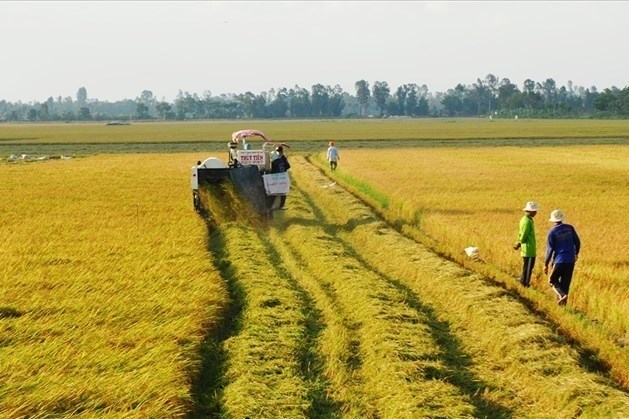 Dân bị thu hồi đất nông nghiệp được vay tiền đi nước ngoài