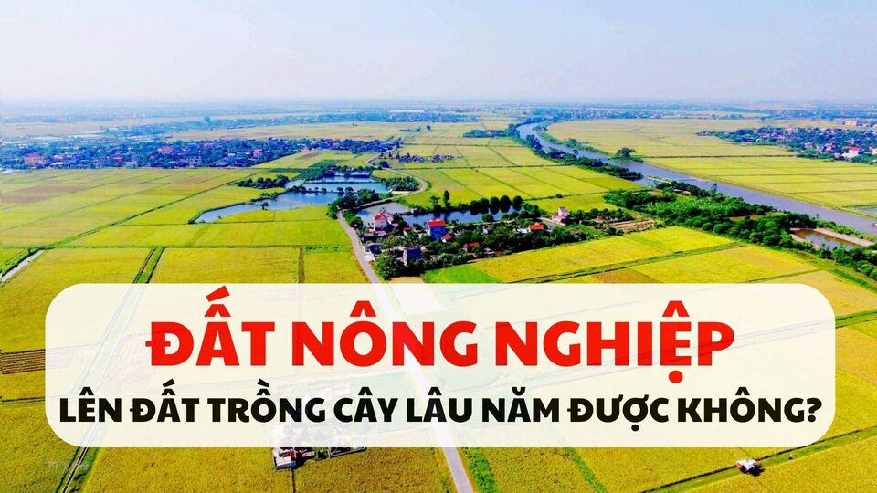 Làm thế nào chuyển đổi mục đích sử dụng đất nông nghiệp?