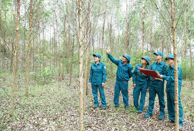 Lực lượng dân quân tự vệ xã Minh Quang (Tam Đảo - Vĩnh Phúc) thường xuyên tuần tra, rà soát phát hiện những nguy cơ để phòng chống cháy rừng. Ảnh: Trường Khanh